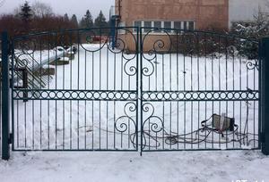 Кованые ворота с классическим природным орнаментом - фото 50