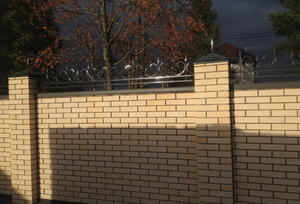 Кованый забор арт. 2 - фото 2
